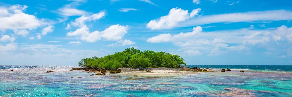 Découverte D'îlot Au Milieu De Fakarava