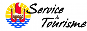 Logo Sdt