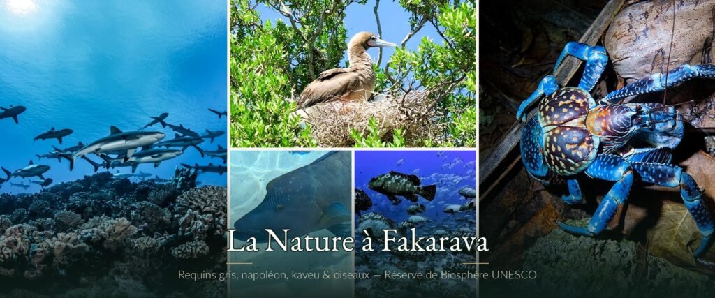 Banniere nature fakarava
